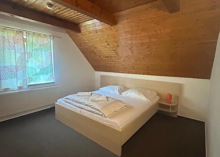 Guest house Zemanov Dvor 3*